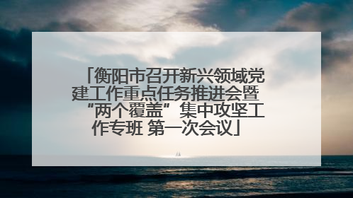 衡阳市召开新兴领域党建工作重点任务推进会暨“两个覆盖”集中攻坚工作专班 第一次会议