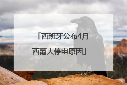 西班牙公布4月西葡大停电原因