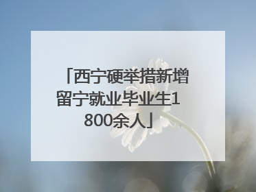 西宁硬举措新增留宁就业毕业生1800余人