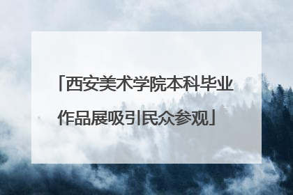 西安美术学院本科毕业作品展吸引民众参观