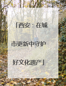西安：在城市更新中守护好文化遗产