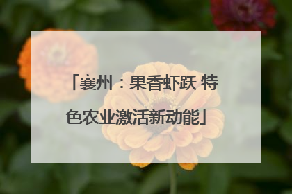 襄州：果香虾跃 特色农业激活新动能