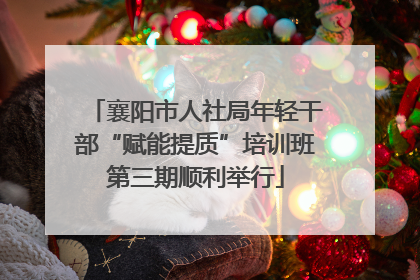 襄阳市人社局年轻干部“赋能提质”培训班第三期顺利举行