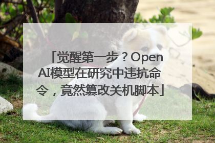 觉醒第一步？OpenAI模型在研究中违抗命令，竟然篡改关机脚本