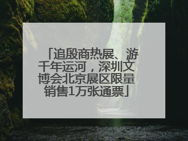 追殷商热展、游千年运河，深圳文博会北京展区限量销售1万张通票