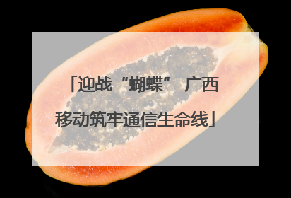 迎战“蝴蝶” 广西移动筑牢通信生命线