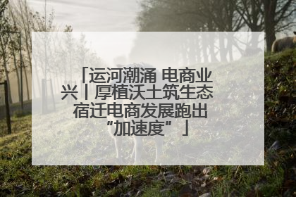 运河潮涌 电商业兴丨厚植沃土筑生态 宿迁电商发展跑出“加速度”