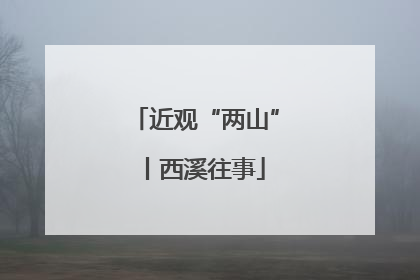 近观“两山”丨西溪往事