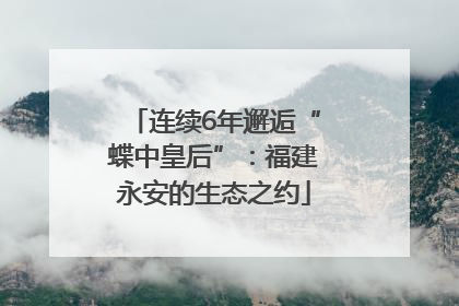 连续6年邂逅“蝶中皇后”：福建永安的生态之约