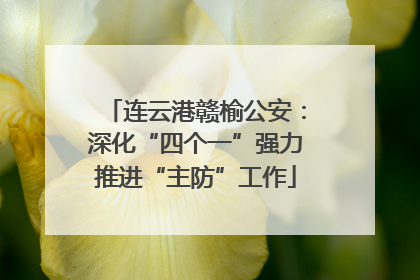 连云港赣榆公安：深化“四个一”强力推进“主防”工作
