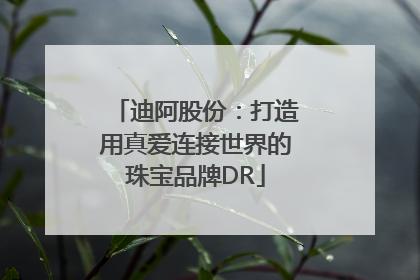 迪阿股份：打造用真爱连接世界的珠宝品牌DR