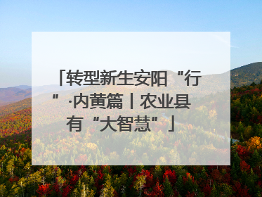 转型新生安阳“行”·内黄篇丨农业县有“大智慧”