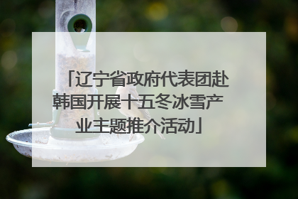 辽宁省政府代表团赴韩国开展十五冬冰雪产业主题推介活动