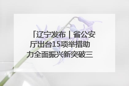 辽宁发布｜省公安厅出台15项举措助力全面振兴新突破三年行动决胜之战