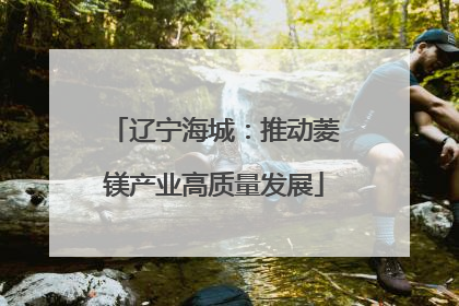 辽宁海城：推动菱镁产业高质量发展
