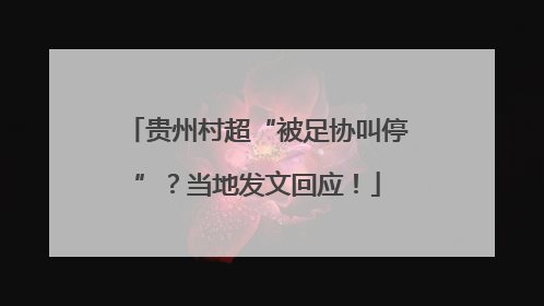 贵州村超“被足协叫停”？当地发文回应！