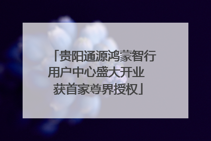 贵阳通源鸿蒙智行用户中心盛大开业 获首家尊界授权
