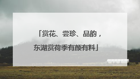 赏花、尝珍、品韵，东湖赏荷季有颜有料