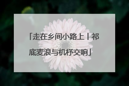 走在乡间小路上丨祁底麦浪与机杼交响