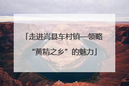 走进嵩县车村镇—领略“黄精之乡”的魅力