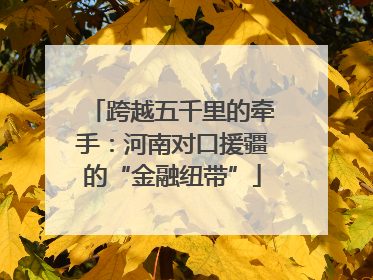 跨越五千里的牵手：河南对口援疆的“金融纽带”