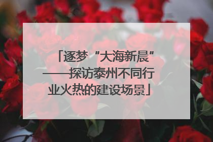 逐梦“大海新晨”——探访泰州不同行业火热的建设场景
