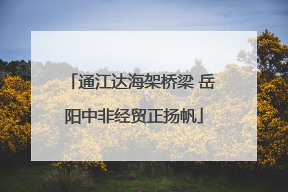 通江达海架桥梁 岳阳中非经贸正扬帆