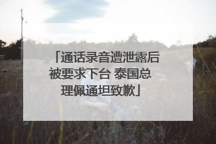 通话录音遭泄露后被要求下台 泰国总理佩通坦致歉