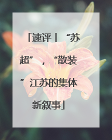 速评丨“苏超”，“散装”江苏的集体新叙事