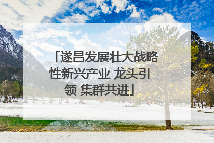 遂昌发展壮大战略性新兴产业 龙头引领 集群共进