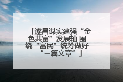 遂昌谋实建强“金色共富”发展轴 围绕“富民”统筹做好“三篇文章”