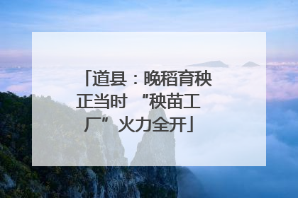 道县：晚稻育秧正当时 “秧苗工厂”火力全开