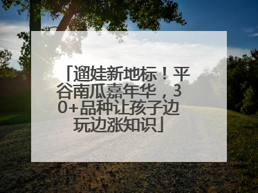 遛娃新地标！平谷南瓜嘉年华，30+品种让孩子边玩边涨知识