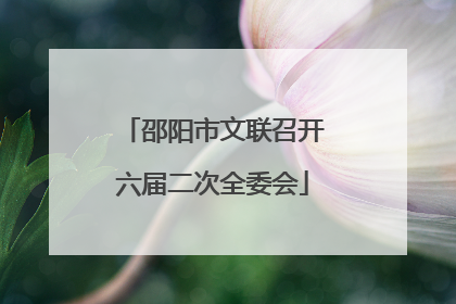 邵阳市文联召开六届二次全委会