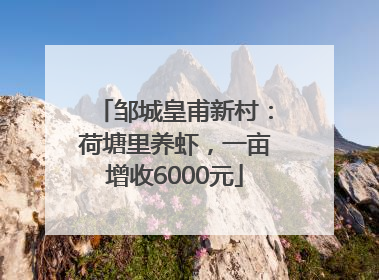 邹城皇甫新村：荷塘里养虾，一亩增收6000元