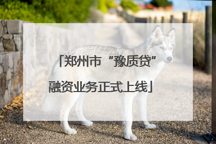 郑州市“豫质贷”融资业务正式上线