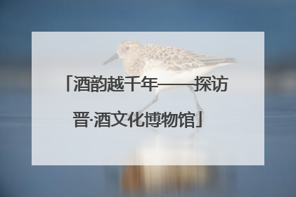 酒韵越千年——探访晋·酒文化博物馆