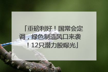 重磅利好！国常会定调，绿色制造风口来袭！12只潜力股曝光