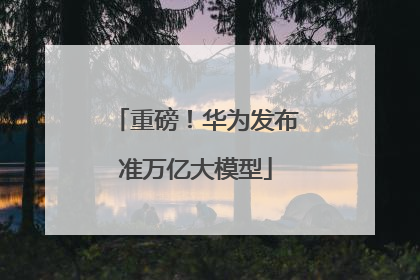 重磅！华为发布准万亿大模型