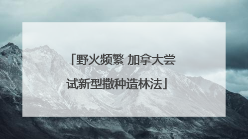 野火频繁 加拿大尝试新型撒种造林法