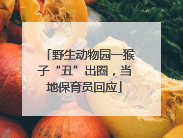 野生动物园一猴子“丑”出圈，当地保育员回应