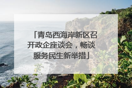 青岛西海岸新区召开政企座谈会，畅谈服务民生新举措