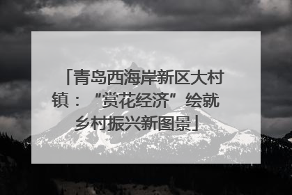 青岛西海岸新区大村镇：“赏花经济”绘就乡村振兴新图景
