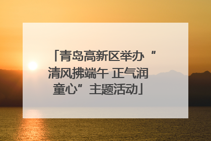 青岛高新区举办“清风拂端午 正气润童心”主题活动