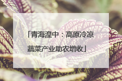 青海湟中：高原冷凉蔬菜产业助农增收