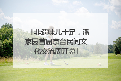 非遗味儿十足，潘家园首届京台民间文化交流周开幕