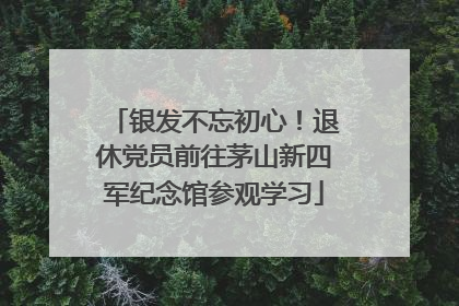 银发不忘初心！退休党员前往茅山新四军纪念馆参观学习