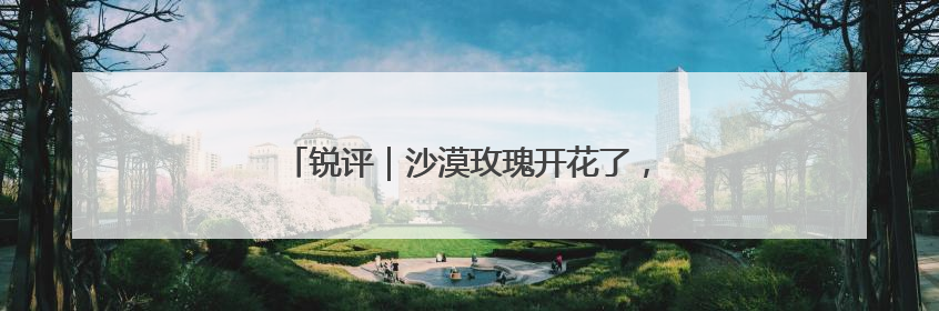 锐评｜沙漠玫瑰开花了，中国人的浪漫叫“担当”