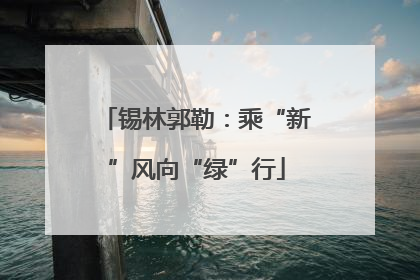 锡林郭勒：乘“新”风向“绿”行