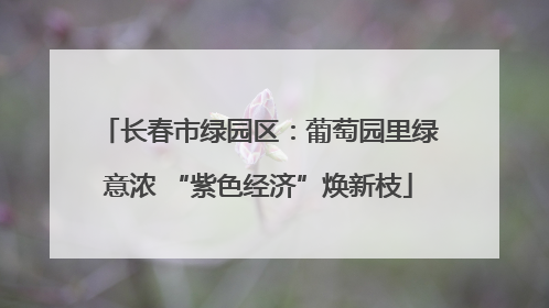 长春市绿园区：葡萄园里绿意浓 “紫色经济”焕新枝